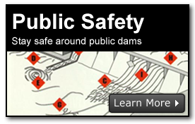 Public Safety